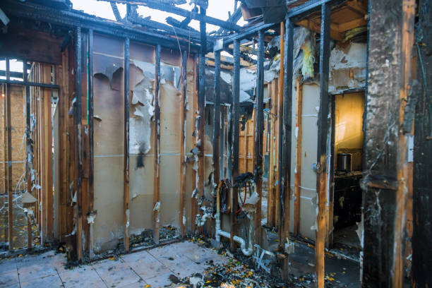 Professional Smoke Damage Removal technician working in Troy, MO